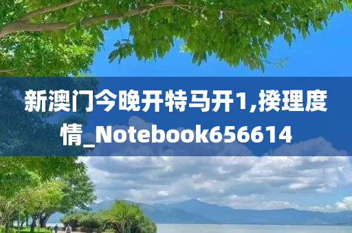 新澳门今晚开特马开1,揆理度情_Notebook656614