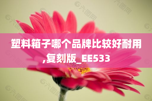 塑料箱子哪个品牌比较好耐用,复刻版_EE533