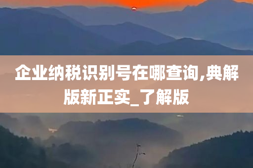 企业纳税识别号在哪查询,典解版新正实_了解版