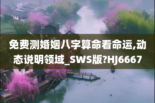 免费测婚姻八字算命看命运,动态说明领域_SWS版?HJ6667