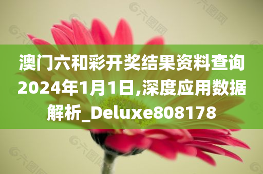 澳门六和彩开奖结果资料查询2024年1月1日,深度应用数据解析_Deluxe808178