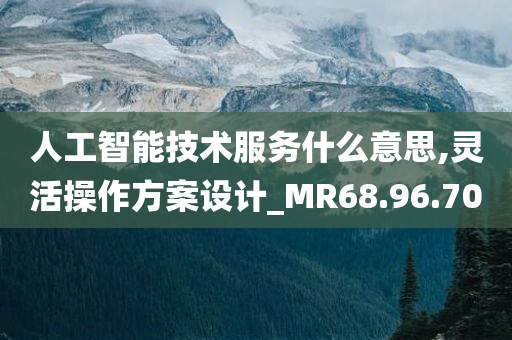 人工智能技术服务什么意思,灵活操作方案设计_MR68.96.70