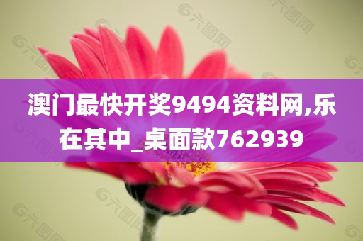 澳门最快开奖9494资料网,乐在其中_桌面款762939