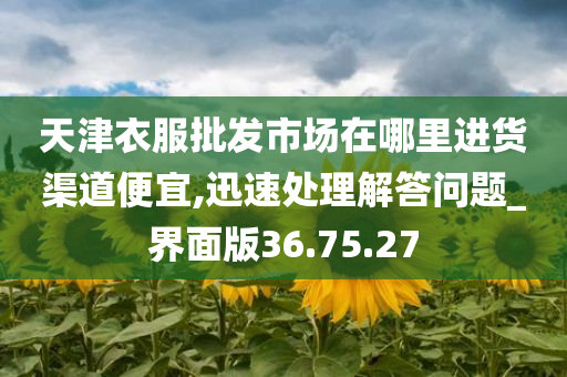 天津衣服批发市场在哪里进货渠道便宜,迅速处理解答问题_界面版36.75.27