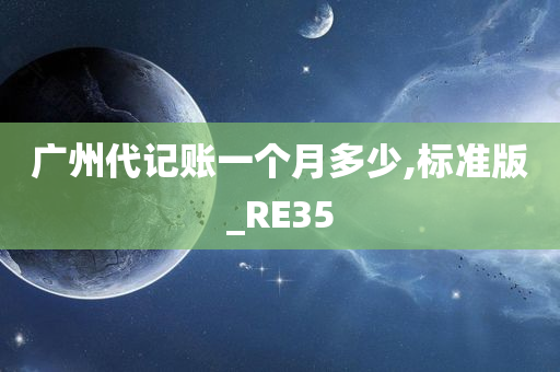 广州代记账一个月多少,标准版_RE35