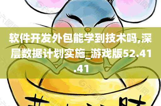 软件开发外包能学到技术吗,深层数据计划实施_游戏版52.41.41