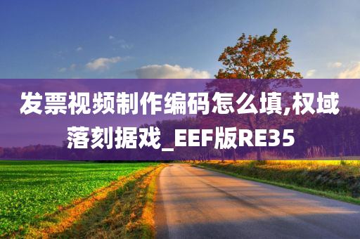 发票视频制作编码怎么填,权域落刻据戏_EEF版RE35