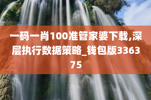 一码一肖100准管家婆下载,深层执行数据策略_钱包版336375