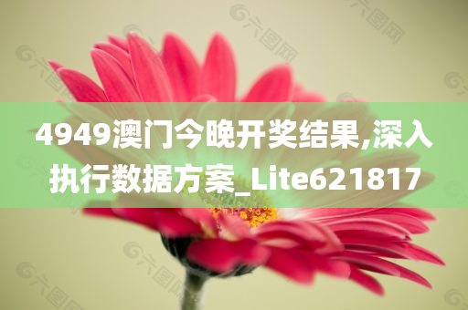 4949澳门今晚开奖结果,深入执行数据方案_Lite621817