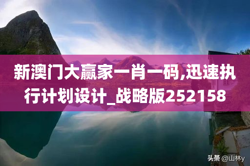 新澳门大赢家一肖一码,迅速执行计划设计_战略版252158