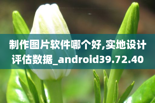 制作图片软件哪个好,实地设计评估数据_android39.72.40