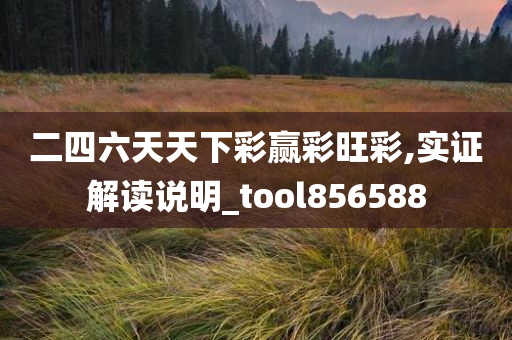 二四六天天下彩赢彩旺彩,实证解读说明_tool856588