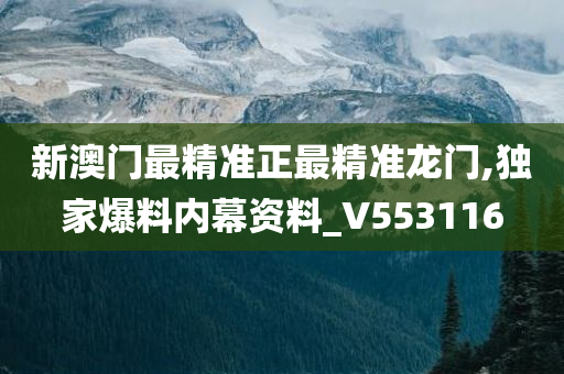 新澳门最精准正最精准龙门,独家爆料内幕资料_V553116