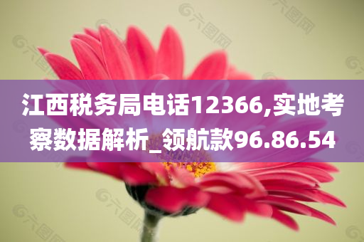 江西税务局电话12366,实地考察数据解析_领航款96.86.54