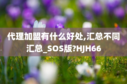 代理加盟有什么好处,汇总不同汇总_SOS版?HJH66