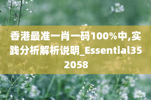 香港最准一肖一码100%中,实践分析解析说明_Essential352058