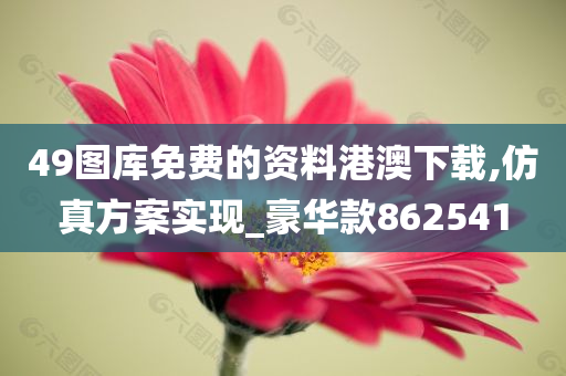 49图库免费的资料港澳下载,仿真方案实现_豪华款862541