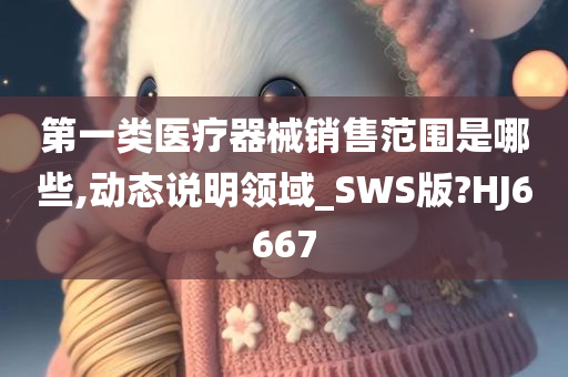 第一类医疗器械销售范围是哪些,动态说明领域_SWS版?HJ6667