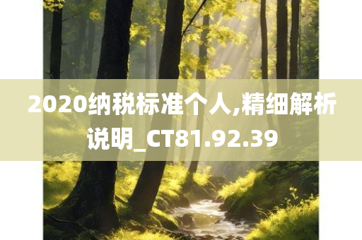 2020纳税标准个人,精细解析说明_CT81.92.39