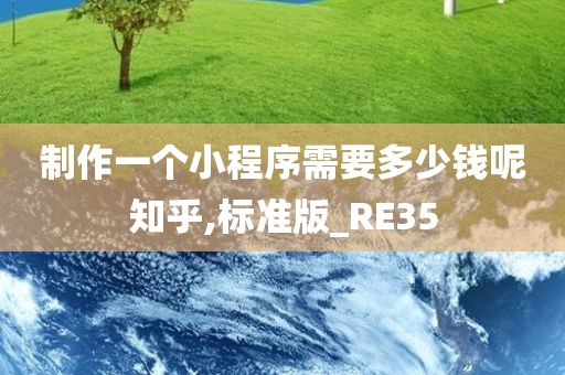 制作一个小程序需要多少钱呢知乎,标准版_RE35