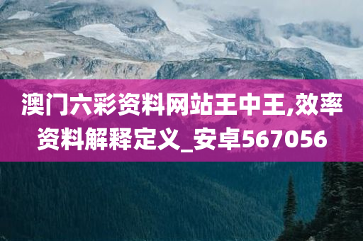 澳门六彩资料网站王中王,效率资料解释定义_安卓567056