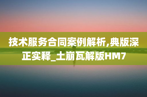 技术服务合同案例解析,典版深正实释_土崩瓦解版HM7