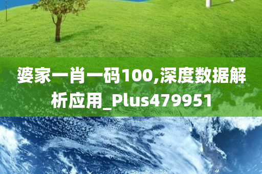 婆家一肖一码100,深度数据解析应用_Plus479951