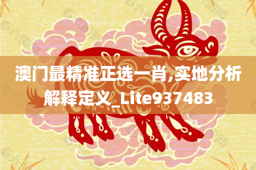 澳门最精准正选一肖,实地分析解释定义_Lite937483