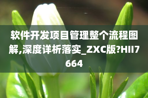 软件开发项目管理整个流程图解,深度详析落实_ZXC版?HII7664