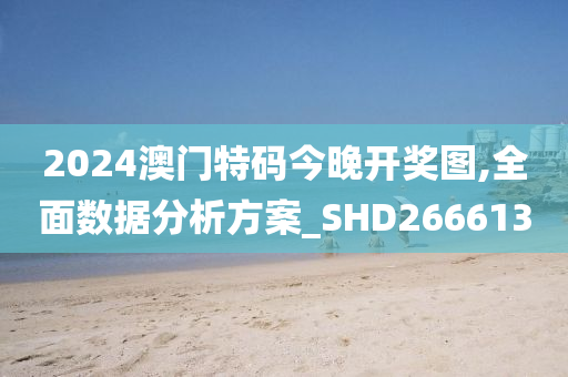 2024澳门特码今晚开奖图,全面数据分析方案_SHD266613