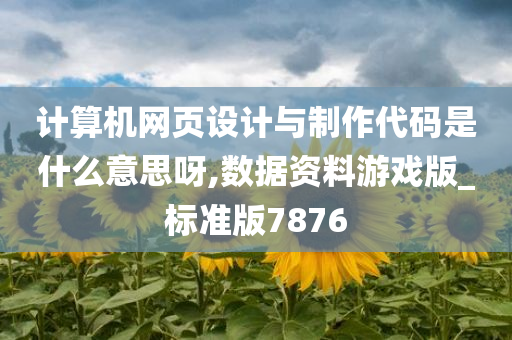 计算机网页设计与制作代码是什么意思呀,数据资料游戏版_标准版7876