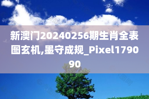 新澳门20240256期生肖全表图玄机,墨守成规_Pixel179090