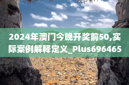 2024年澳门今晚开奖前50,实际案例解释定义_Plus696465