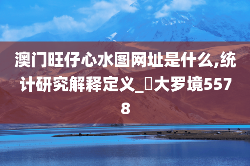 澳门旺仔心水图网址是什么,统计研究解释定义_‌大罗境5578