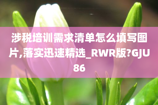 涉税培训需求清单怎么填写图片,落实迅速精选_RWR版?GJU86