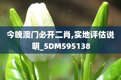 今晚澳门必开二肖,实地评估说明_5DM595138