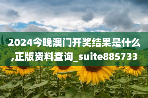 2024今晚澳门开奖结果是什么,正版资料查询_suite885733