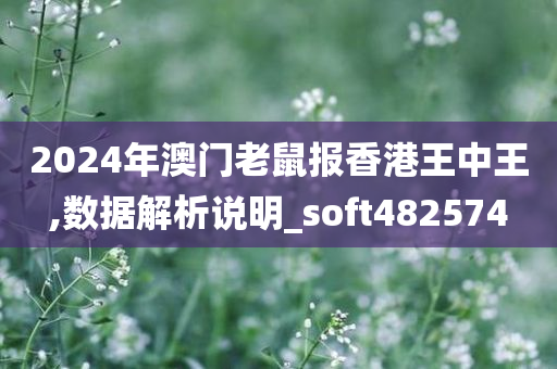 2024年澳门老鼠报香港王中王,数据解析说明_soft482574