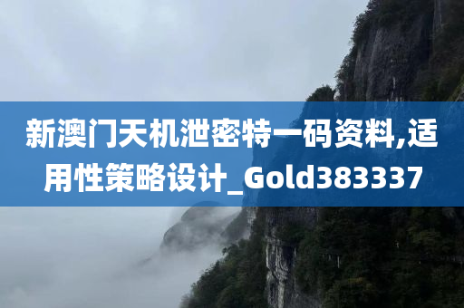 新澳门天机泄密特一码资料,适用性策略设计_Gold383337