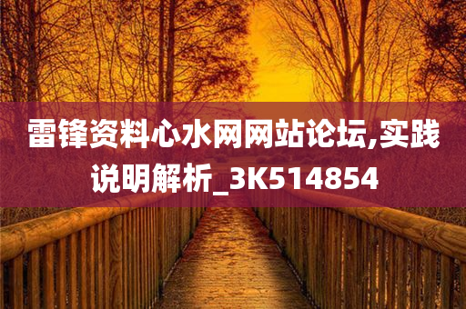 雷锋资料心水网网站论坛,实践说明解析_3K514854