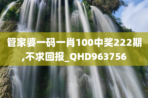 管家婆一码一肖100中奖222期,不求回报_QHD963756