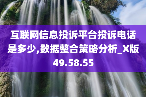 互联网信息投诉平台投诉电话是多少,数据整合策略分析_X版49.58.55