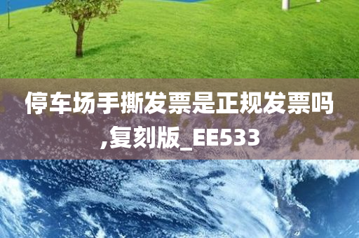 停车场手撕发票是正规发票吗,复刻版_EE533