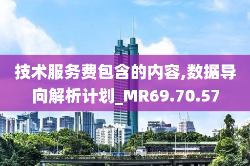 技术服务费包含的内容,数据导向解析计划_MR69.70.57