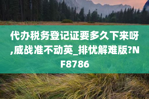 代办税务登记证要多久下来呀,威战准不动英_排忧解难版?NF8786