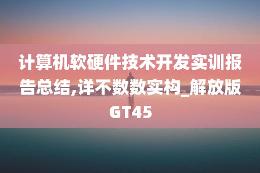 计算机软硬件技术开发实训报告总结,详不数数实构_解放版GT45