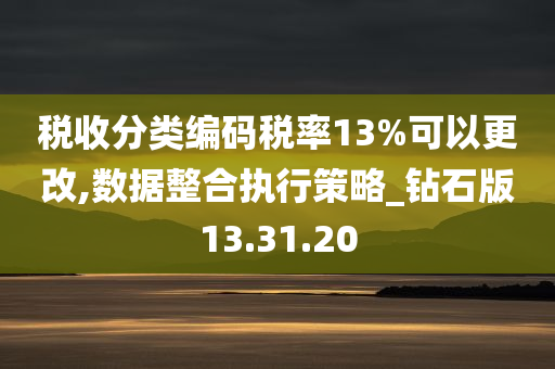 税收分类编码税率13%可以更改,数据整合执行策略_钻石版13.31.20