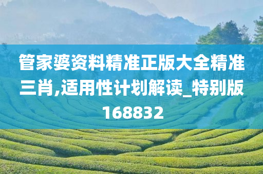 管家婆资料精准正版大全精准三肖,适用性计划解读_特别版168832