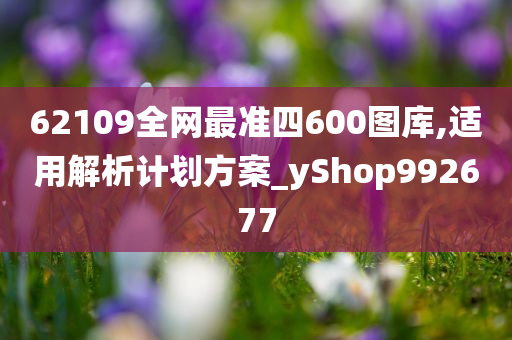 62109全网最准四600图库,适用解析计划方案_yShop992677