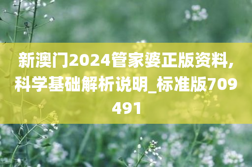 新澳门2024管家婆正版资料,科学基础解析说明_标准版709491